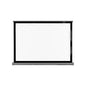 Pantalla De Mesa VIVIBRIGHT 40″