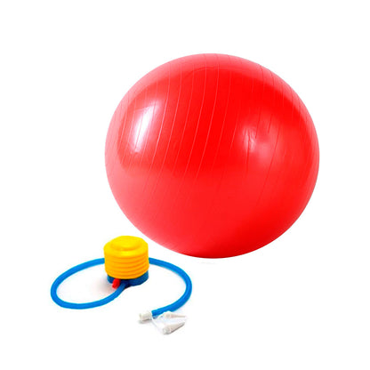 Pelota De Pilates 55cm Con Bomba De Aire