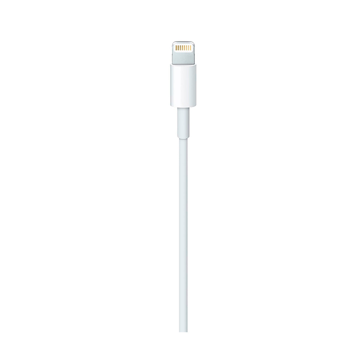 Cable Lightning A Usb APPLE MD818ZM/A 1m Bulk