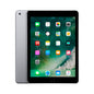 iPad 2018 128GB/2GB Wifi Gris