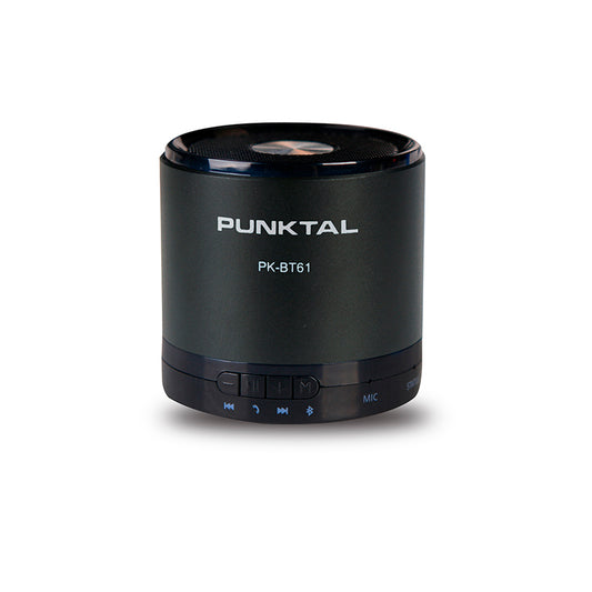 Parlante Multimedia Punktal Pk-bt61