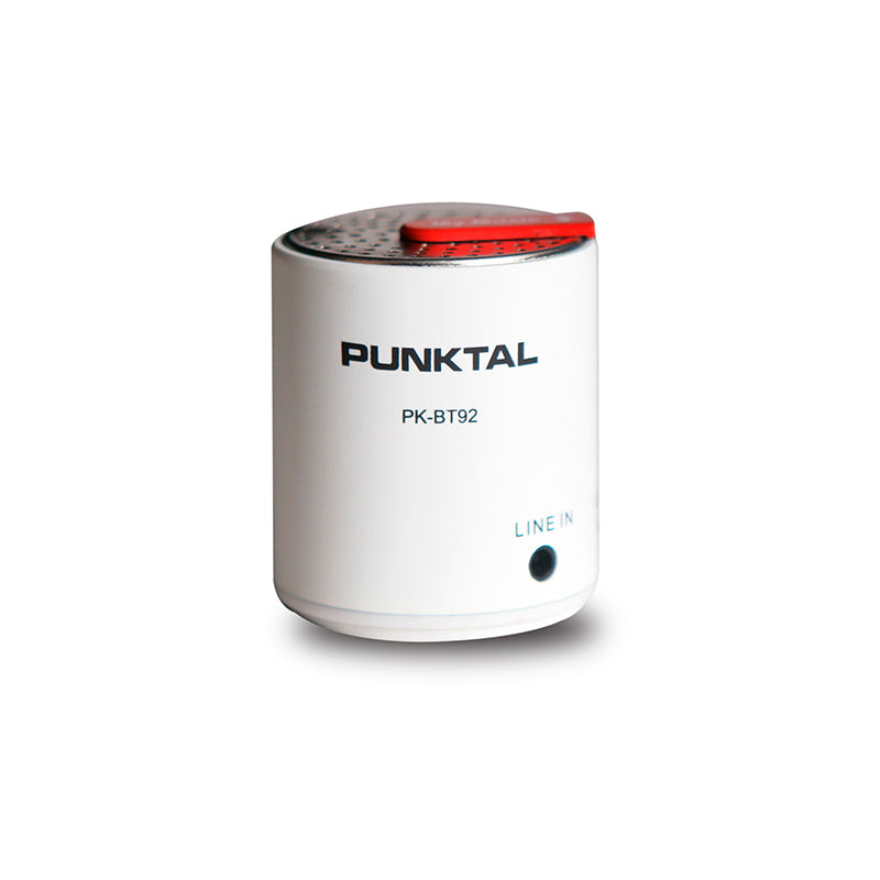 Parlante Multimedia Punktal Pk-BT92